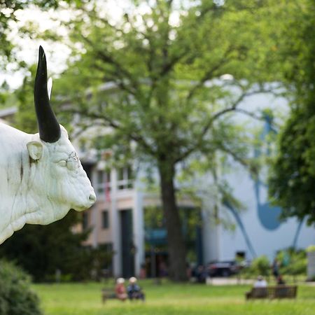 Villa Regina Bad Freienwalde Zewnętrze zdjęcie