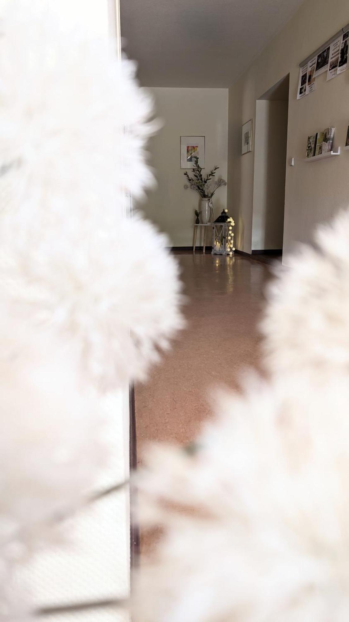 Villa Regina Bad Freienwalde Zewnętrze zdjęcie