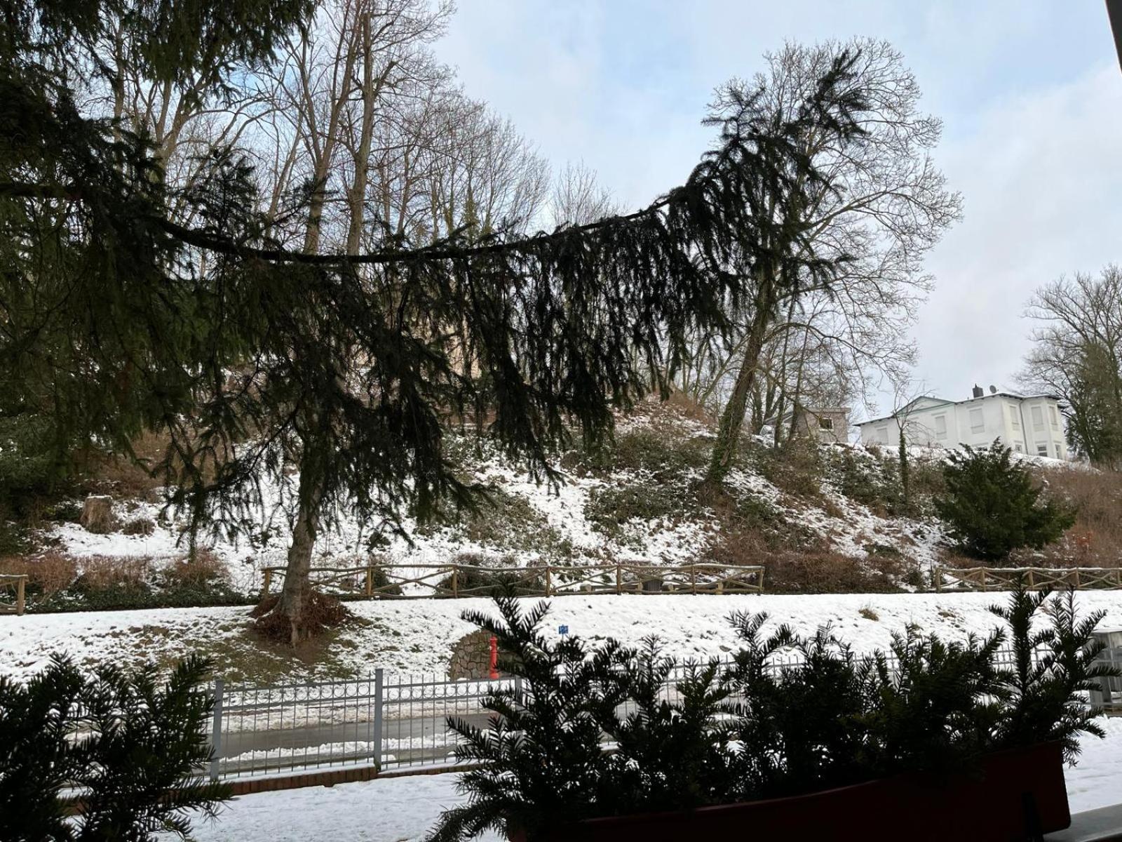 Villa Regina Bad Freienwalde Pokój zdjęcie