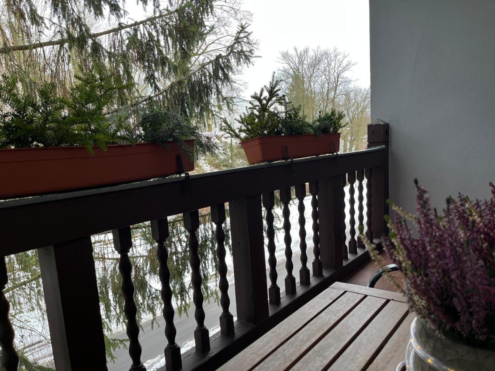 Villa Regina Bad Freienwalde Zewnętrze zdjęcie
