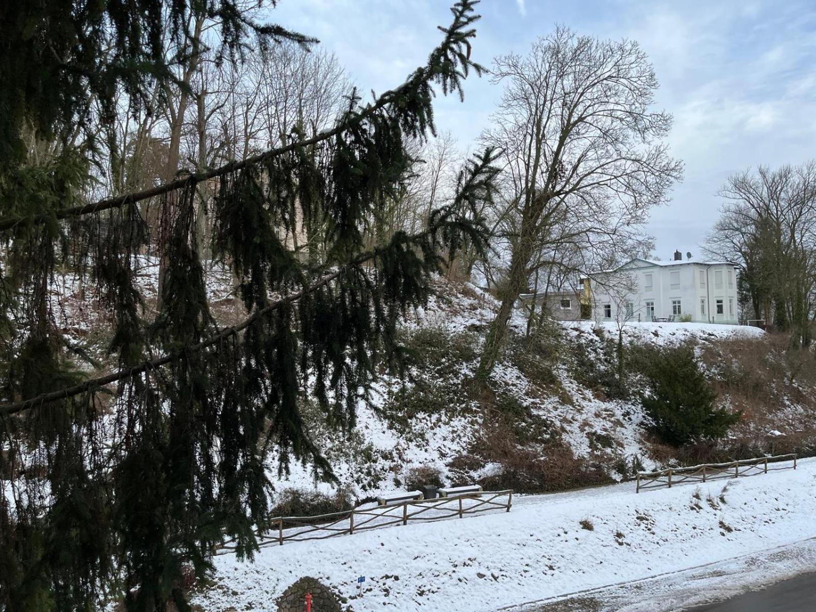 Villa Regina Bad Freienwalde Zewnętrze zdjęcie